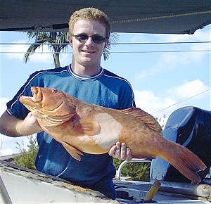Coral Trout - caught with 30lb hand line using mullet flesh for bait.