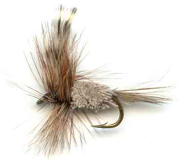 adams irresistable fishing fly