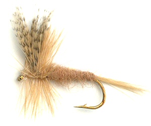 light hendrickson fishing fly