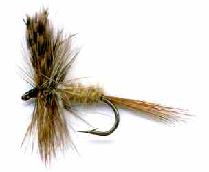 pattern for march brown dry fishing fly trout