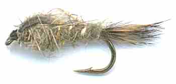 gold ribbed hares ear nymph fly
