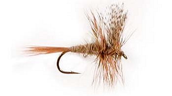 grey fox fishing fly