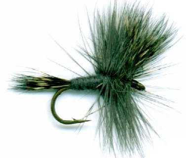 grey wulff fishing fly trout