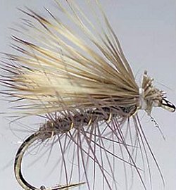 hairwing caddis fishing fly