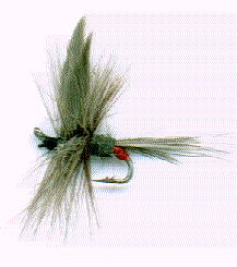 iron blue dun dry - fishing fly