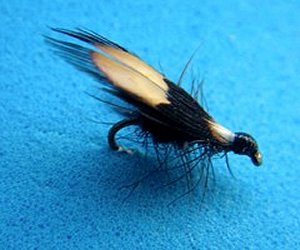 jassid fishing fly