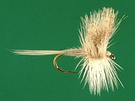 light cahill dry fishing fly