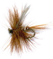 luns particular fishing fly