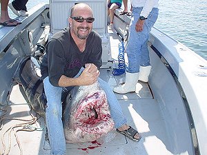 780 lb Mako Shark