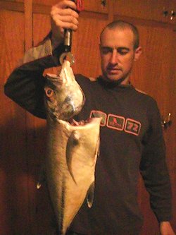 Big eye trevally. My first fish caught on a lure and over 30cm