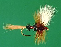 royal-wulff dry fishing fly trout freshwater