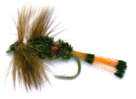 royal coachman dry fly fishing for trout