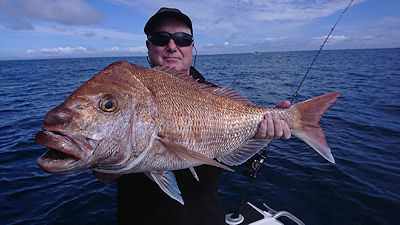 Steven Stanford - 20lb Snapper, 33 inches, caught in the Hauraki Gulf, Auckland, New Zealand on 20lb trace, 24lb braid with a kabura lure. Awesome fishing.