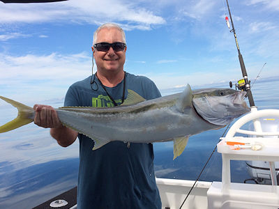 Steven Stanford - 1.1 meter kingfish, caught in the hauraki gulf, Auckland, New Zealand. Light weight rod, 20lb leader, 24lb braid, a kubura lure. 25 minute fight.