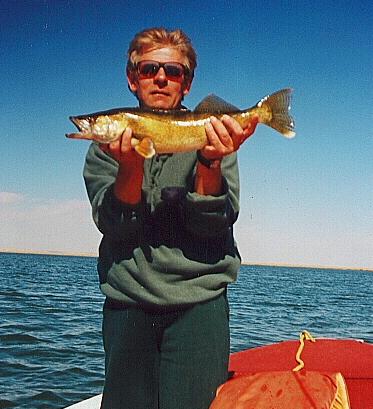 ricks Walleye