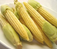 fresh baby corn, koa prood on
