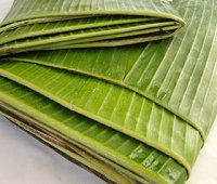 banana leaves, bai dtong