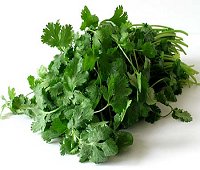 coriander, pak chee