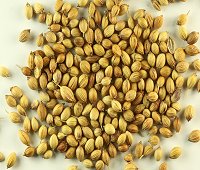 coriander seeds, met pak chee