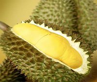 durian, thai dturian