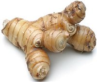 galangal root