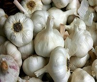 garlic, garlic bulbs