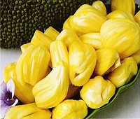 jackfruit, thai kanoon