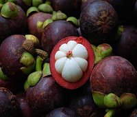 mangosteen, thai mahng khoot