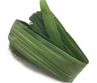 pandanus leaves, bai dtoey