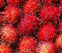 rambutan, thai ngor