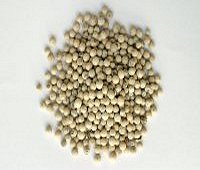 white peppercorns, prik thai