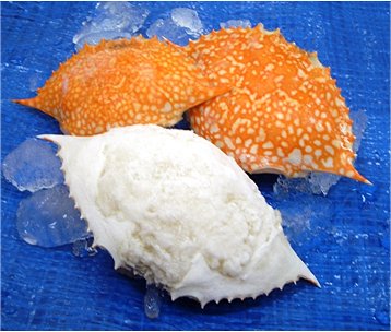 Frozen stuffed crabmeat.