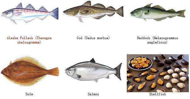 Alaska pollock, cod, gadus orhua, haddock, sole fish, salmon, shellfish