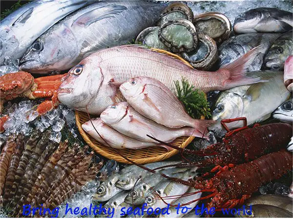 A B Golden Seafood. Frozen seafood suppliers. black tiger shrimp, vannamei shrimp (hoso, hlso, raw pto, cooked pto, ect), pangasius (swai), tilapia (red and black), yellowfin tuna (steak, loin, saku), mahi mahi (fillet, portion), red mullet, red snapper, barramundi (lates calcarifer), bonito, round scad, indian mackerel, white clam, baby octopus, surimi, seafood mix and seafood skewers