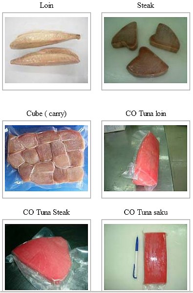 fresh yellowfin tuna products