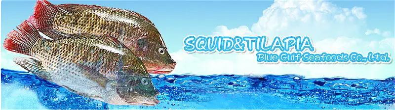 Blue Gulf Seafoods - China seafood suppliers of squid and tilapia products