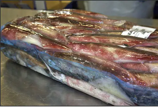 Loligo Reynaudii is wild, handline caught by our own fleet in the South East Atlantic Ocean (FAO Zone 47) off the coast of South Africa. Its chocolate colour makes it famous for its quality.