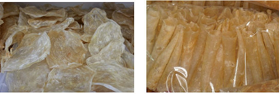 Gsta Fish & Seafood AB - Cod Fish Maw, Stockfish