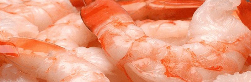 Mah Protein Iran Export Seafood Products - Iran premium quality vannamei shrimp
