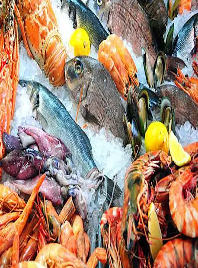 Ocean Prime Imports - We are a leading seafood importer and exporter with nationwide reach
