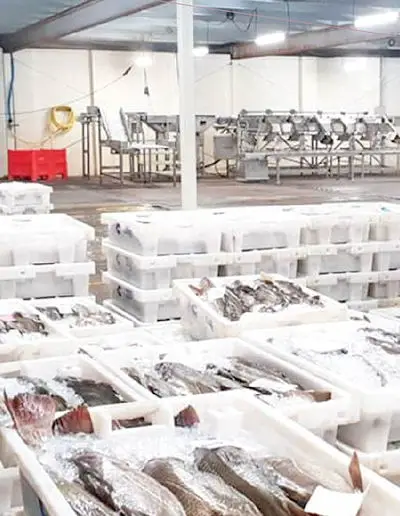 Ocean Prime Imports LLC - Seafood storage and refrigeration