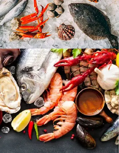 Ocean Prime Imports LLC - High quality seafood, sustainably sourced