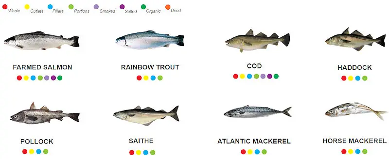 Orfirisey products - Farmed salmon, rainbow trout, cod, haddock, pollock, saithe, atlantic mackerel, horse mackerel.