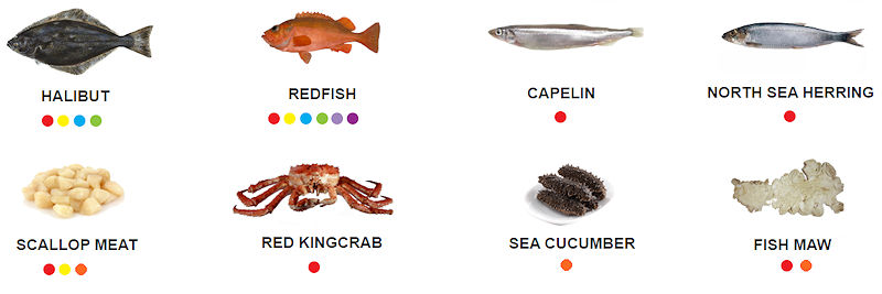 Orfirisey productys - Halibut, redfish, capelin, north sea herring, scallop meat, red king crab, sea cucumber, fish maw