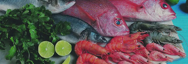 Leading manufacturer, seafood processor and exporter of fresh chilled and frozen seafood products from Oman. Hilsa شغي, Mullet-fish بياح, Queenfish مشكر, Red sea bream سيه, Barracuda غد, Sail Fish سلسول, King Fish كنعد, Job Fish عندك, Amberjack سريولا, Chub Mackerel ممبار, Mahi Mahi انفلس, Ribbon Fish سيف راندو, Yellowfin Tuna جيدر, Kawakawa Tuna صده, Cuttlefish حبار, Catfish خن, Sardine عومه, Indian Mackerel باغة