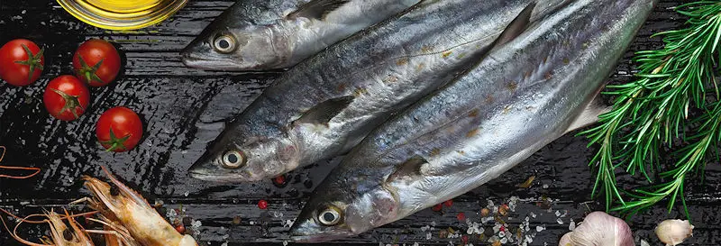 Leading manufacturer, seafood processor and exporter of fresh chilled and frozen seafood products from Oman. Hilsa شغي, Mullet-fish بياح, Queenfish مشكر, Red sea bream سيه, Barracuda غد, Sail Fish سلسول, King Fish كنعد, Job Fish عندك, Amberjack سريولا, Chub Mackerel ممبار, Mahi Mahi انفلس, Ribbon Fish سيف راندو, Yellowfin Tuna جيدر, Kawakawa Tuna صده, Cuttlefish حبار, Catfish خن, Sardine عومه, Indian Mackerel باغة
