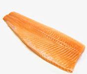 Atlantic Salmon, Salmo salar