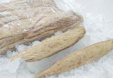 Frozen precooked skipjack tuna loin - Katsuwonus Pelamis